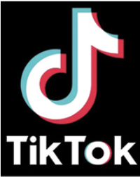 TikTok Challenges